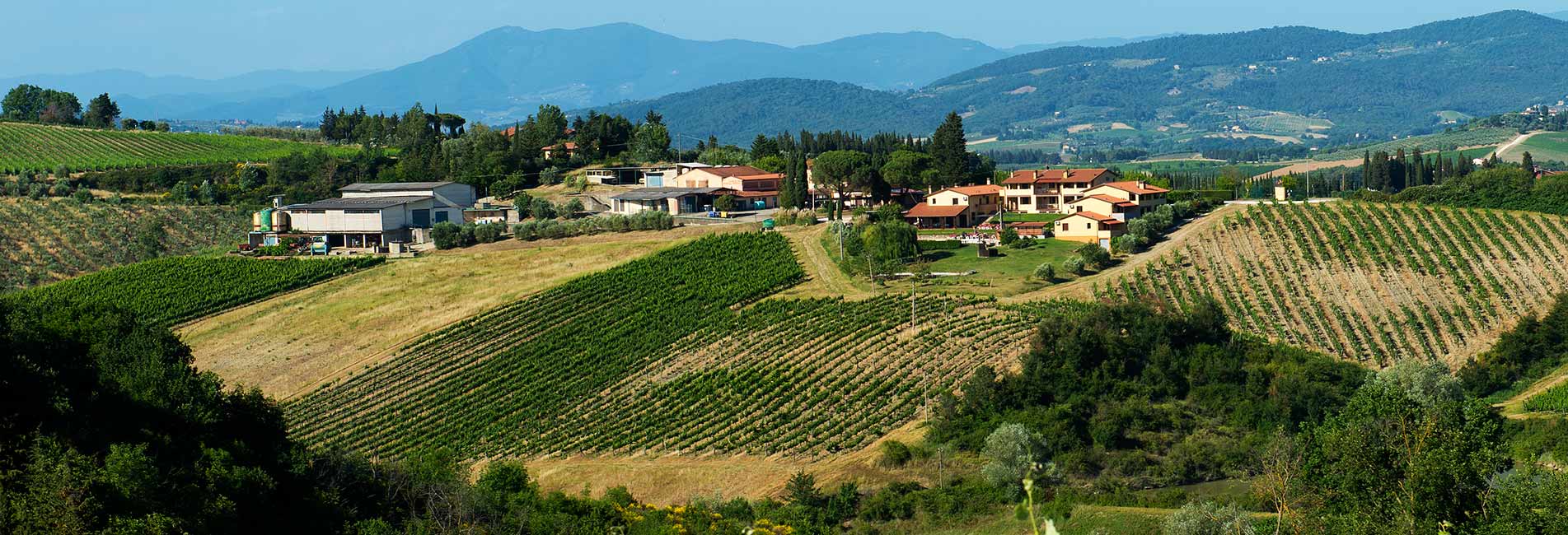 084.Tenuta-di-Morzano