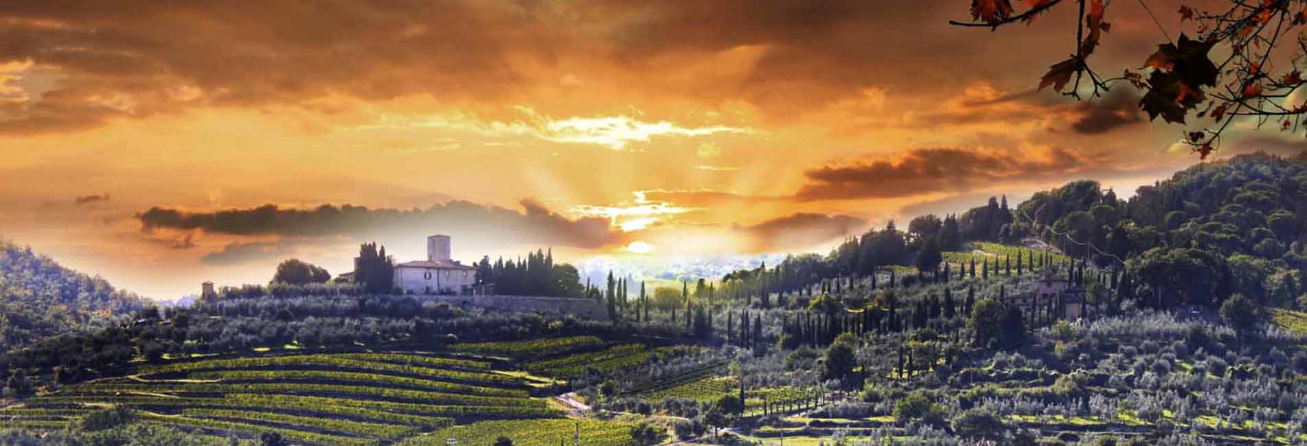 chianti-vigne